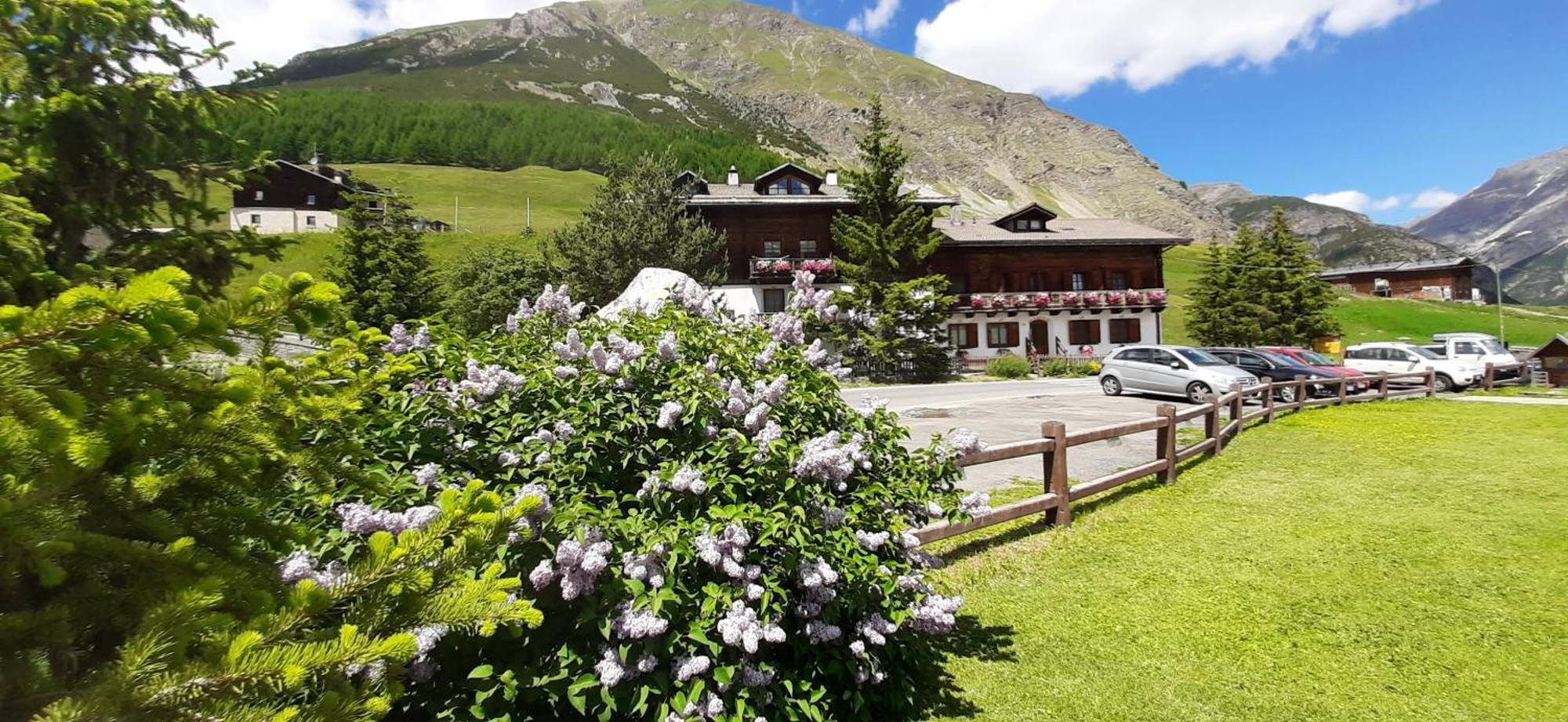 Chalet Del Sole Per Gruppi Livigno Dış mekan fotoğraf
